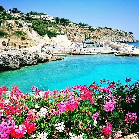 Rocco Castro (Lecce)