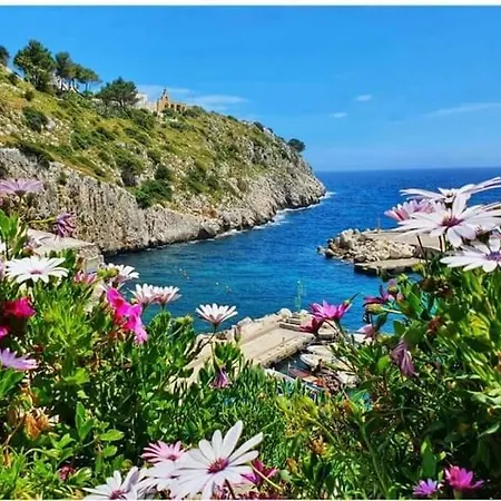 Rocco * Castro (Lecce)