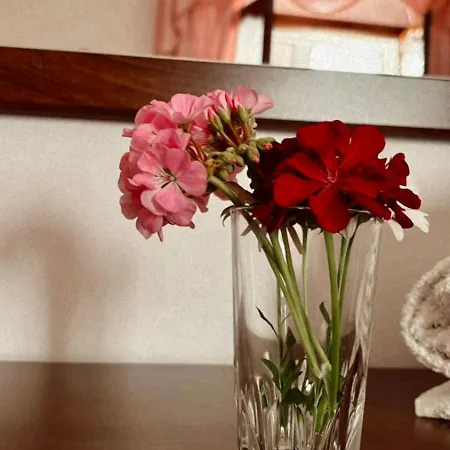 Rocco Σπίτι διακοπών *