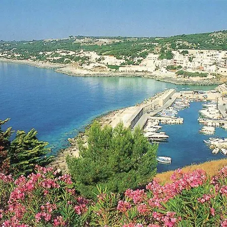 Holiday home Rocco *