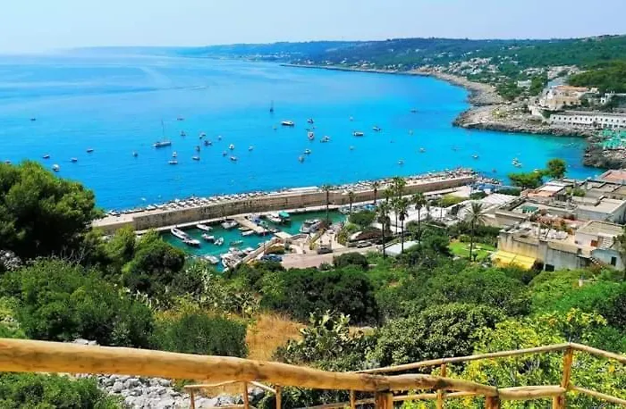 Rocco Castro (Lecce)